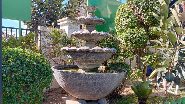 20250426_092214.jpg