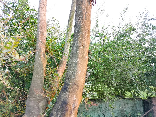 1000042769.jpg