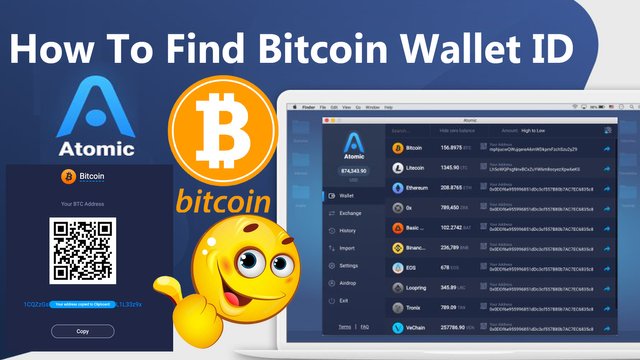 How To Find Bitcoin Wallet ID by Crypto Wallets Info.jpg