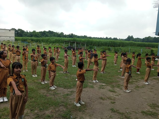 IMG_20250630_083915_119.jpg