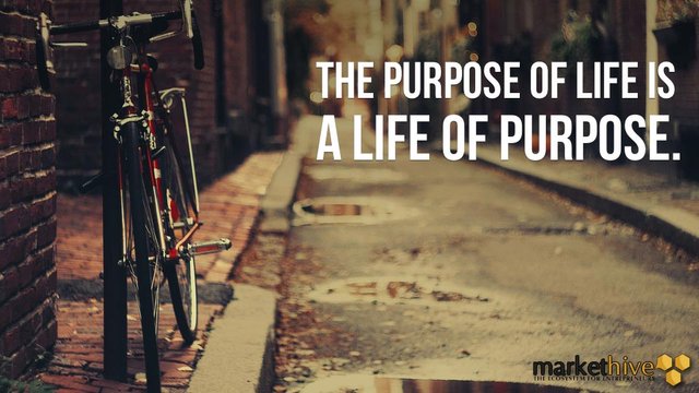 The-purpose-of-life-is-a-life-of-purpose..jpg