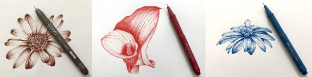 examples-for-flower-drawing.jpg