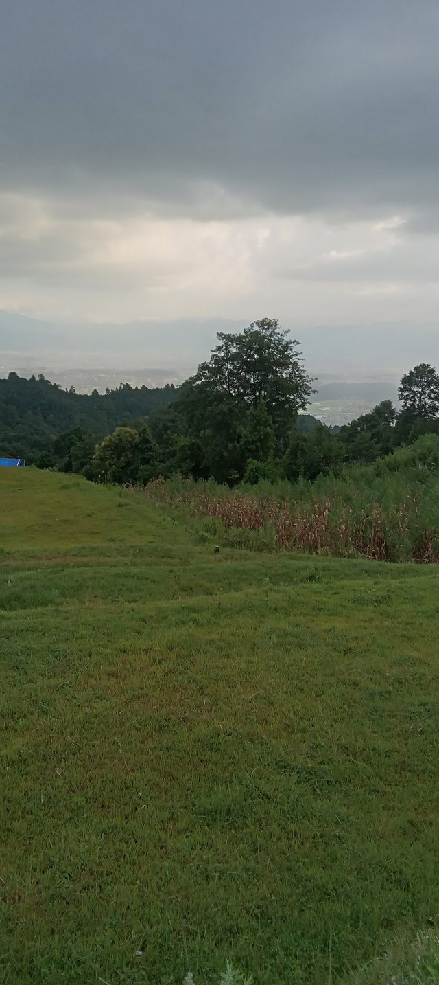 20250901_165851.jpg