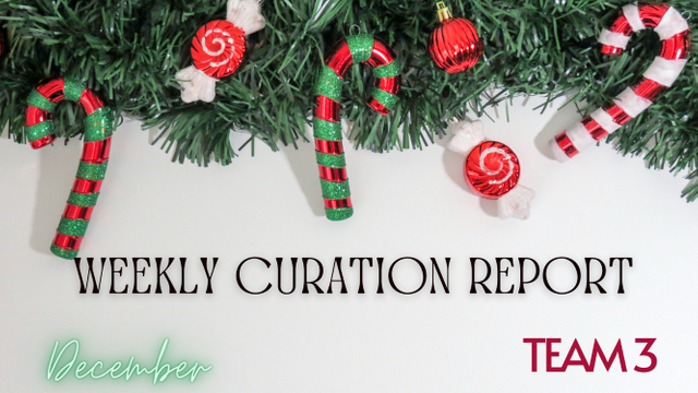 Guidelines TEAM 1 (12).png