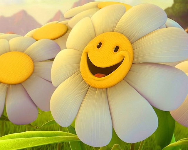 HD-wallpaper-sunflower-happyness-smile.jpg