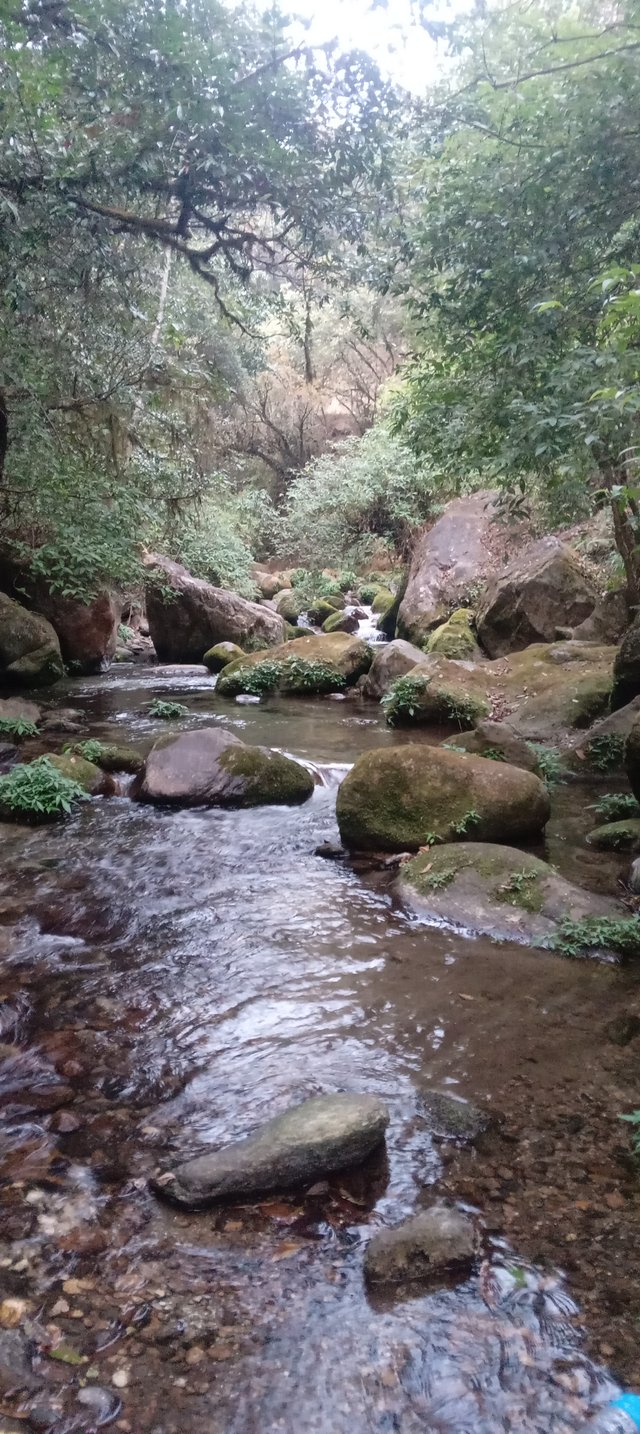 20250306_174223.jpg