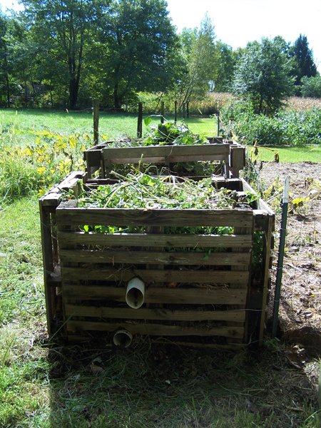 Small garden - full compost bins crop Sept. 2018.jpg