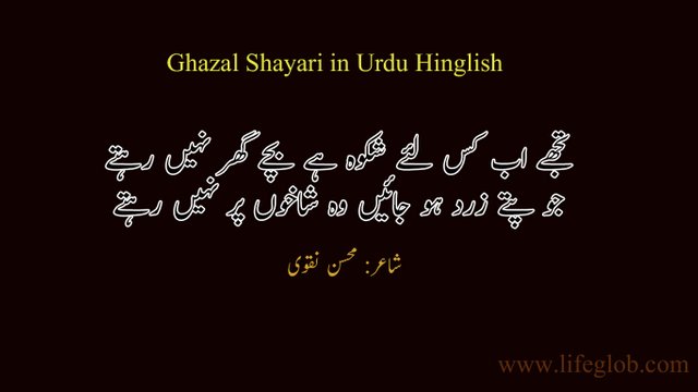 Mohsin Naqvi, Shayari.jpg