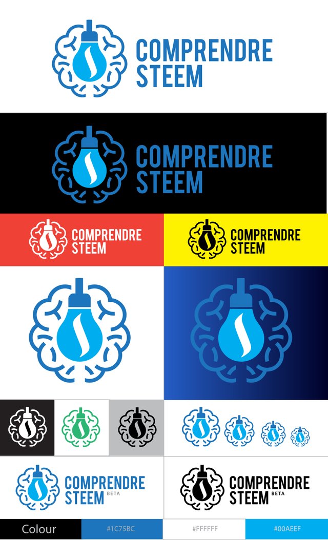 Master Design COMPRENDRE STEEM Logo-2.jpg