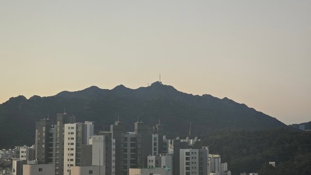 1000142513.jpg