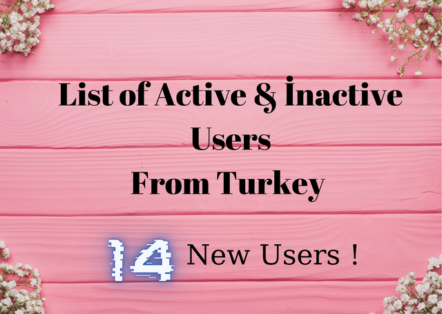 List of Active & İnactive Users.png