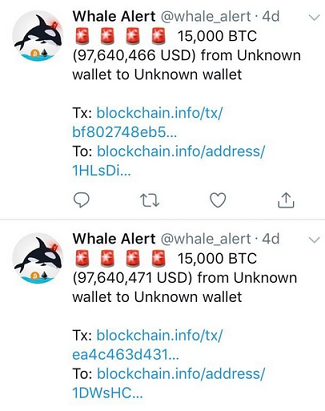Whale Alert pic.png