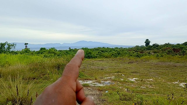 IMG_20250824_084747.jpg