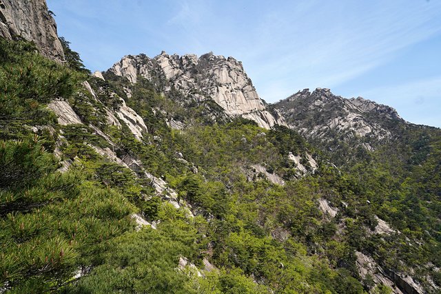 DSC08694.JPG