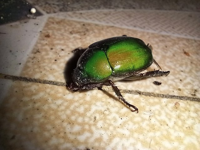 20230829_191140.jpg