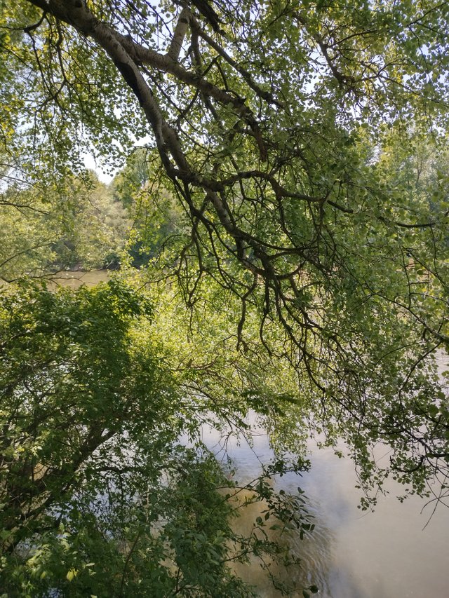 IMG_20250426_130857_HDR.jpg