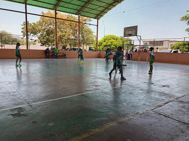 20250413_125148.jpg