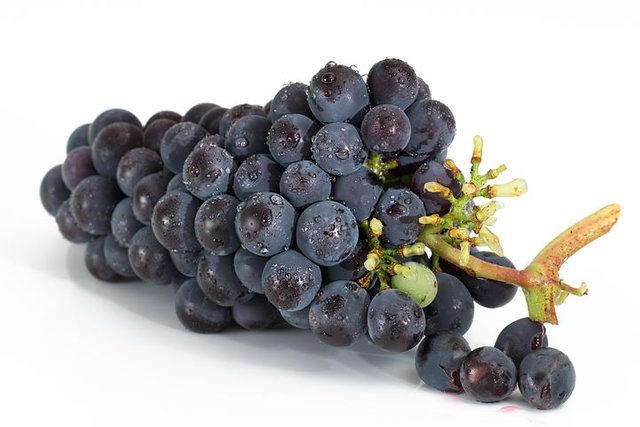 grapes-2032838__480.jpg