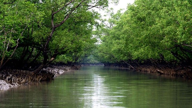 sundarban-1.jpg