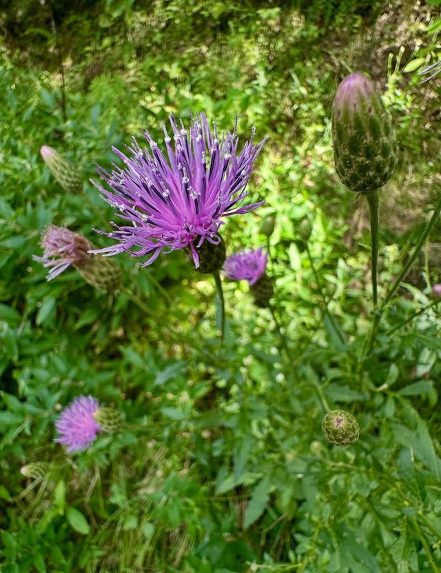 IMG_20250917_190017.jpg