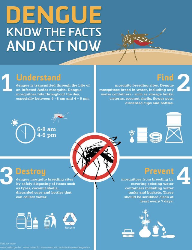 dengue-know-the-facts-and-act-now.jpg