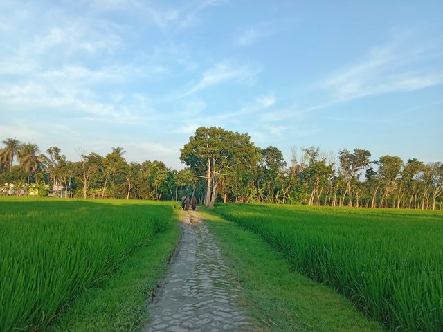 IMG_20250926_083723.jpg