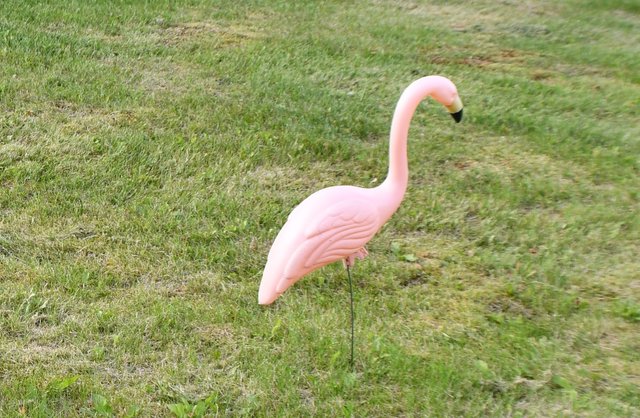 101 pink flamingo.jpg