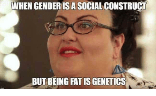 gender fat.png