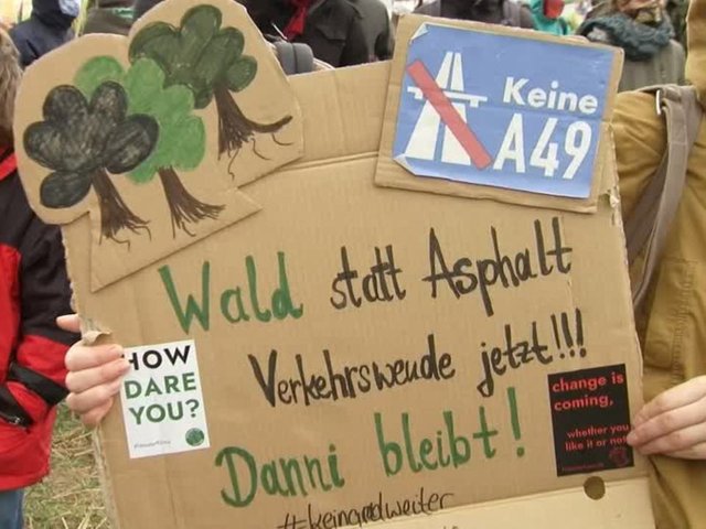 danni-bleibt-proteste-zum-schutz-des-dannenroeder-forsts.jpg