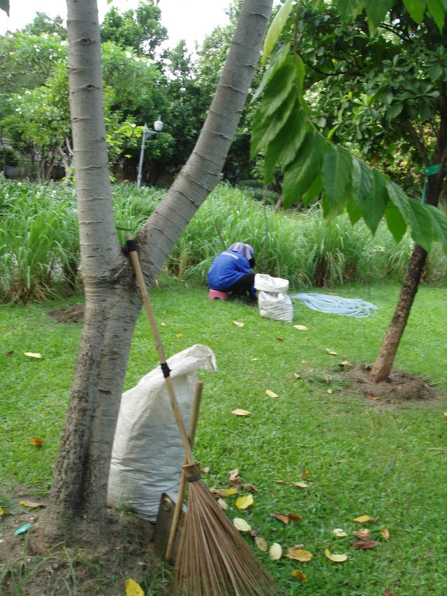 Queen Sirikit Park - stuff takes care of plants