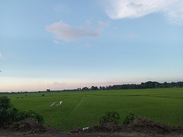 IMG_20250527_182240_262.jpg