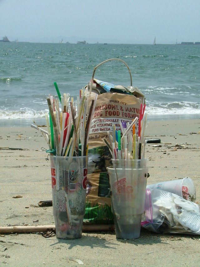 beach straws2.jpg