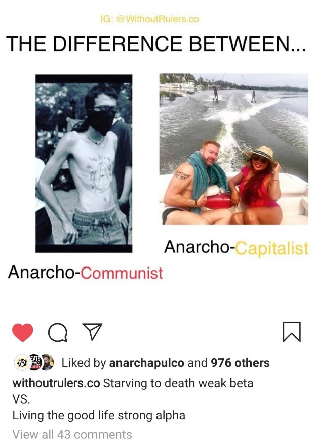 ancom-vs-ancap.jpg