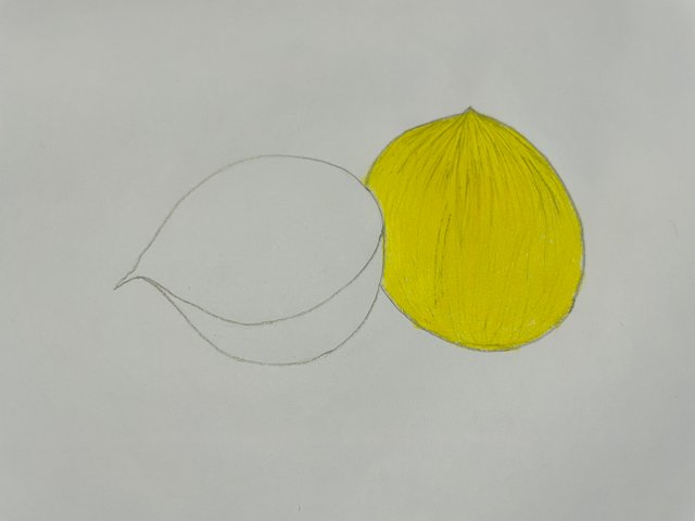 IMG_2091.jpeg