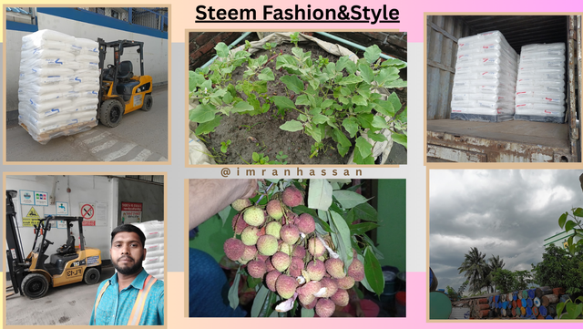 Steem4Entrepreneurs (5).png