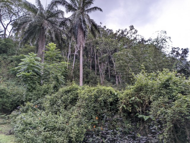 1001115010.jpg