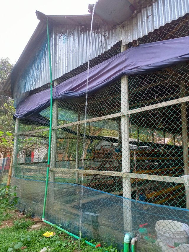 IMG20250503173809.jpg