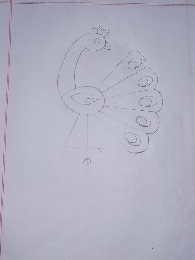 20250624_115852.jpg