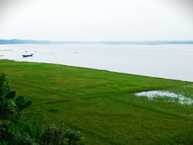 IMG_20250720_201130.jpg