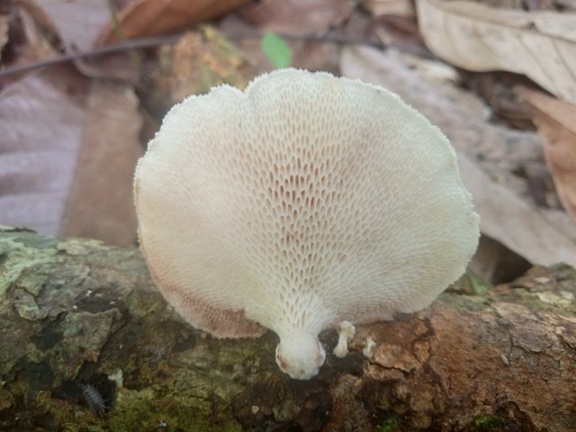 IMG20220306141554.jpg