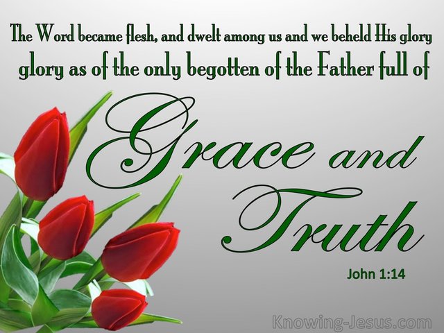 John 1-14 Full Of Grace And Truth green.jpg