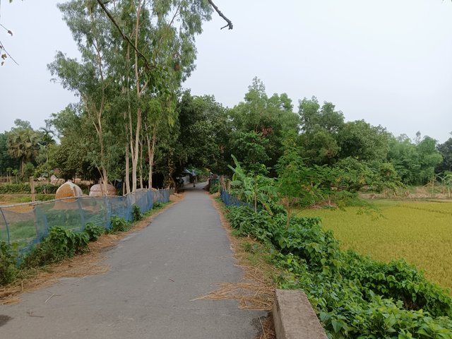 IMG_20250609_170824.jpg