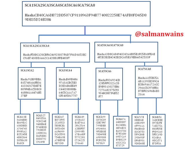 Task 4.6 Markle Tree.png