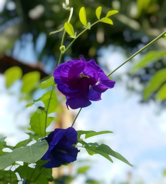 IMG_20250921_211755.jpg