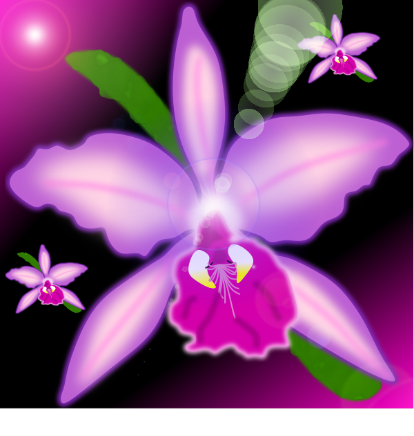 Orchid Drawing /// Dibujo Orquídea — Steemit