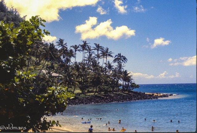 kauai beaches.jpg
