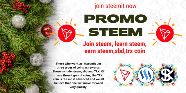 promo steem(370).jpg