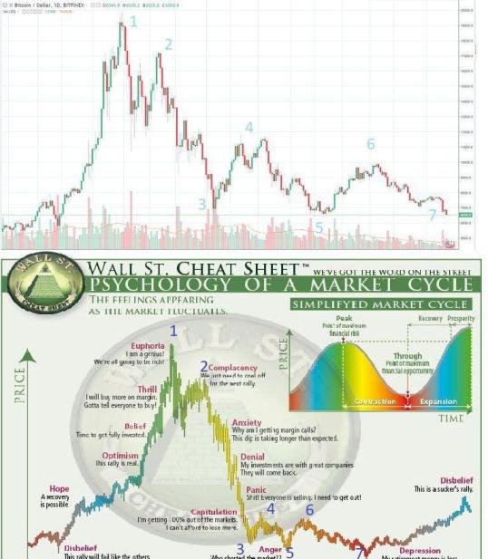 market cycle.jpg