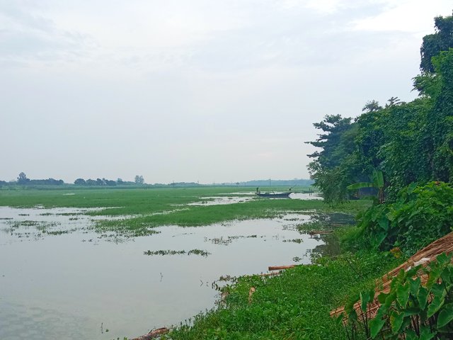 IMG_20250917_193126.jpg