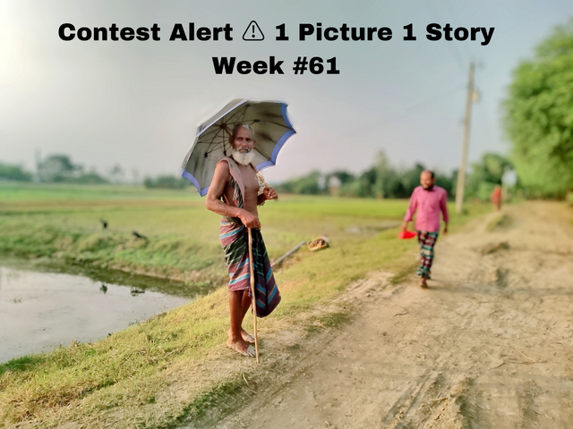 Contest Alert ⚠️ 1 Picture 1 Story Week #61_20241112_085631_0000.png